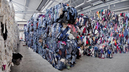 Fast Fashion’s Impact on the Environment
